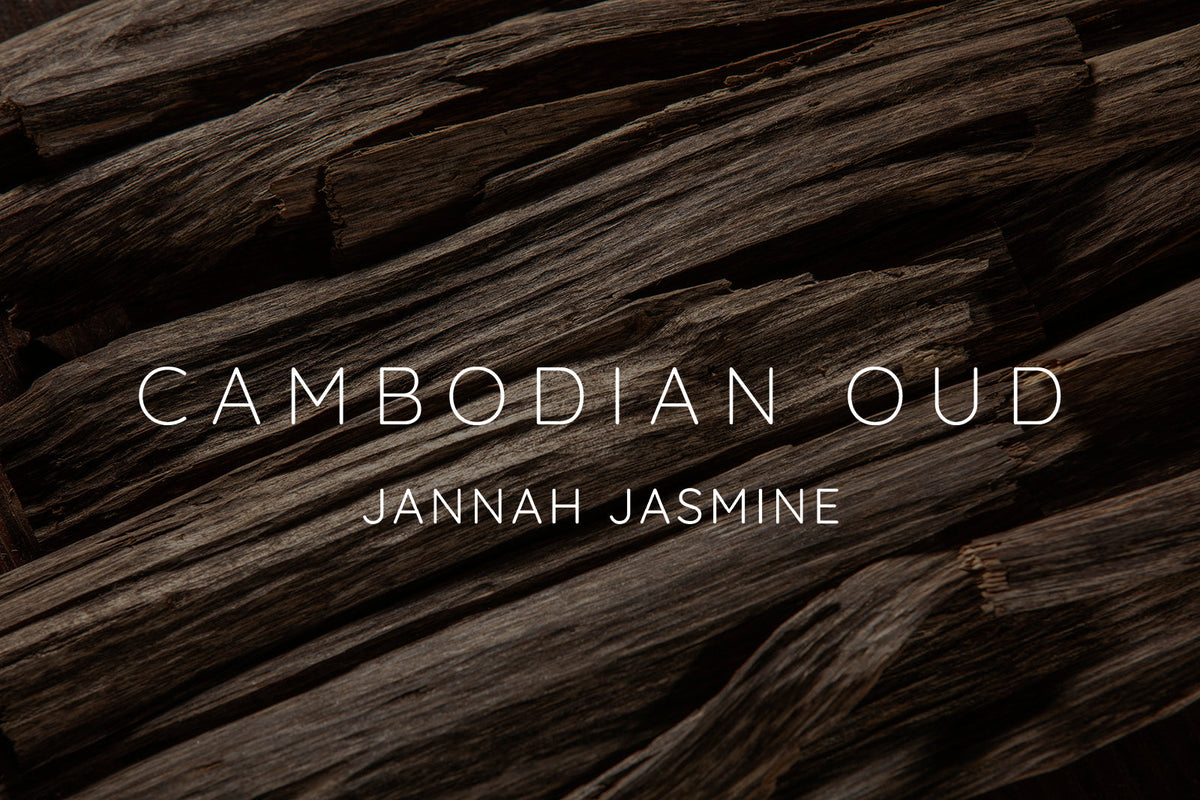 Aromatic agarwood chips, the source of Cambodian oud